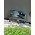 あや|長崎市 本石灰町のラウンジ|四季(シキ)