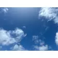 のどち スタッフ|大阪市 中央区東心斎橋のガールズバー|CHANCE(チャンス)