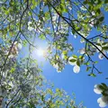 ふぅか|さいたま市 大宮区仲町のキャバクラ|ai(アイ)
