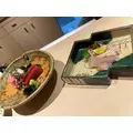 夢咲 さくら|札幌市 すすきののニュークラブ|Fillia(フィリア)