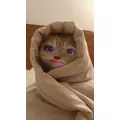 なず|足立区 千住のキャバクラ|Donfin(ドンフィン)