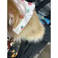アリス|さいたま市 大宮区仲町のキャバクラ|ai(アイ)