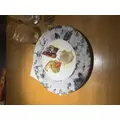 せり|渋谷区 宇田川町のキャバクラ|BABEL(バベル)
