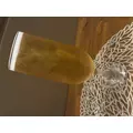 あや|長崎市 本石灰町のニュークラブ|ADANSONIA(アダンソニア)
