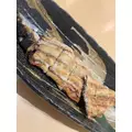 美波 ななみ|札幌市 すすきののニュークラブ|FILLIA(フィリア)