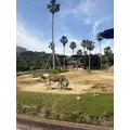 佐野 エマ|札幌市 中央区南のニュークラブ|Leicester(レスター)