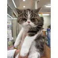 のぞみ|福岡市 博多区中洲のキャバクラ|SEA STYLE(シー スタイル)