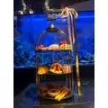 ジュナ|さいたま市 大宮区仲町のキャバクラ|ai(アイ)