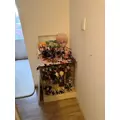 桐島 りゅう|札幌市 すすきののニュークラブ|凛()