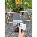 おもち|豊島区 東池袋のコンカフェ&ラウンジ|Hi-potion(ハイポーション)