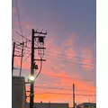 香川 ゆい|札幌市 中央区南のニュークラブ|Leicester(レスター)
