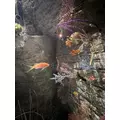 ゆう|長崎市 銅座町のキャバクラ|QUEEN(クイーン)