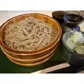 咲良 水月|札幌市 すすきののニュークラブ|Fillia(フィリア)