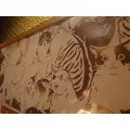 のはら かすみ|札幌市 すすきののニュークラブ|凛()