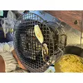 らむ|立川市 錦町の朝・昼キャバ|Mandarin Club（朝・昼）(マンダリンクラブ（朝・昼）)