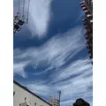 華宮 りんか|札幌市 中央区南のニュークラブ|Leicester(レスター)
