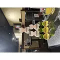まゆ|さいたま市 大宮区仲町のキャバクラ|Luxe(ラグゼ)