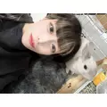 しゅが〜|高松市 古馬場町のコンカフェ|Medica Doll(メディカドール)