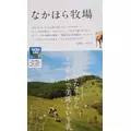 市杵島 みなこ|名古屋市 中区錦のクラブ|色錦()