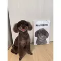 ありさ|高崎市 中紺屋町のキャバクラ|VALTEN(ヴァルテン)