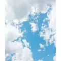 朝陽 凪|札幌市 すすきののニュークラブ|Fillia(フィリア)