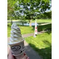 夢咲 さくら|札幌市 すすきののニュークラブ|Fillia(フィリア)