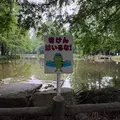 せら|船橋市 本町のキャバクラ|Donfin(ドンフィン)