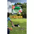 みこ|福岡市 博多区中洲のキャバクラ|ROYALE(ロワイヤル)