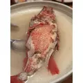 檀 れん|札幌市 中央区南のニュークラブ|Leicester(レスター)