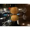 えみ|長崎市 本石灰町のニュークラブ|ADANSONIA(アダンソニア)