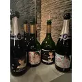 紫月 あやか|札幌市 すすきののニュークラブ|Regent Club(リージェントクラブ)