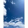 咲良 水月|札幌市 すすきののニュークラブ|Fillia(フィリア)