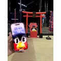 柿原 雅|札幌市 すすきののニュークラブ|凛()
