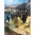 佐野 エマ|札幌市 中央区南のニュークラブ|Leicester(レスター)