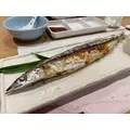 杠 いちか|札幌市 中央区南のニュークラブ|Leicester(レスター)
