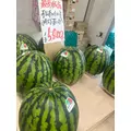 花音|彦根市 平田町のラウンジ|L'Atelier(アトリエ)