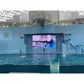 あおい|立川市 錦町の朝・昼キャバ|Mandarin Club（朝・昼）(マンダリンクラブ（朝・昼）)