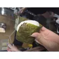 あおい|立川市 錦町の朝・昼キャバ|Mandarin Club（朝・昼）(マンダリンクラブ（朝・昼）)