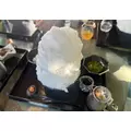 らな|豊島区 東池袋のコンカフェ|Gilgamesh(ギルガメッシュ)