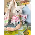もえ|都城市 牟田町のキャバクラ|Jardin(ハルディン)