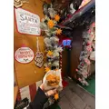 るい|船橋市 本町のキャバクラ|Donfin(ドンフィン)