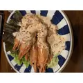 みさ|長崎市 本石灰町のニュークラブ|ADANSONIA(アダンソニア)