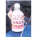 いちご|宮崎市 中央通のコンカフェ|Candy Made(キャンディーメイド)