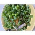 カレン|長崎市 本石灰町のラウンジ|RELAIR(リレア)