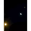 七星 ゆめ|札幌市 すすきののニュークラブ|Fillia(フィリア)