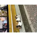 かえで|長崎市 銅座町のガールズバー|G291(ジーニクイチ)