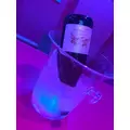 R|小田原市 栄町のガールズバー|& Co.(アンドコー)