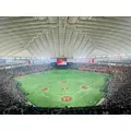 リセ|さいたま市 大宮区仲町のキャバクラ|ai(アイ)