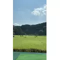 りおん|都城市 牟田町のキャバクラ|Jardin(ハルディン)