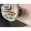 まなみ|小田原市 栄町のキャバクラ|AGAIN(アゲイン)